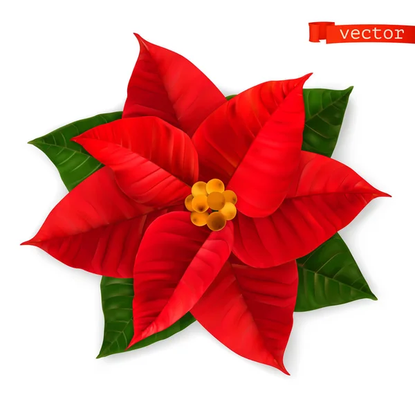 Poinsettia, Bintang Natal. Ikon vektor realistik 3d - Stok Vektor