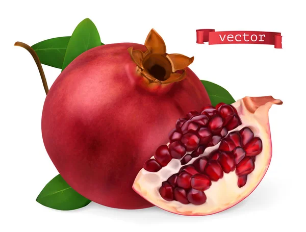 Pomegranate vectorized image. Fresh fruit. 3d realistic vector icon — Stock Vector