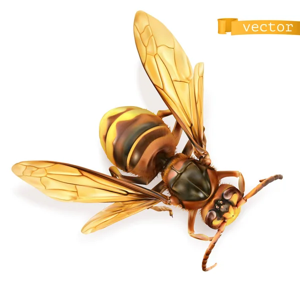 Guêpe, abeille, frelon. Vecteur réaliste 3d — Image vectorielle