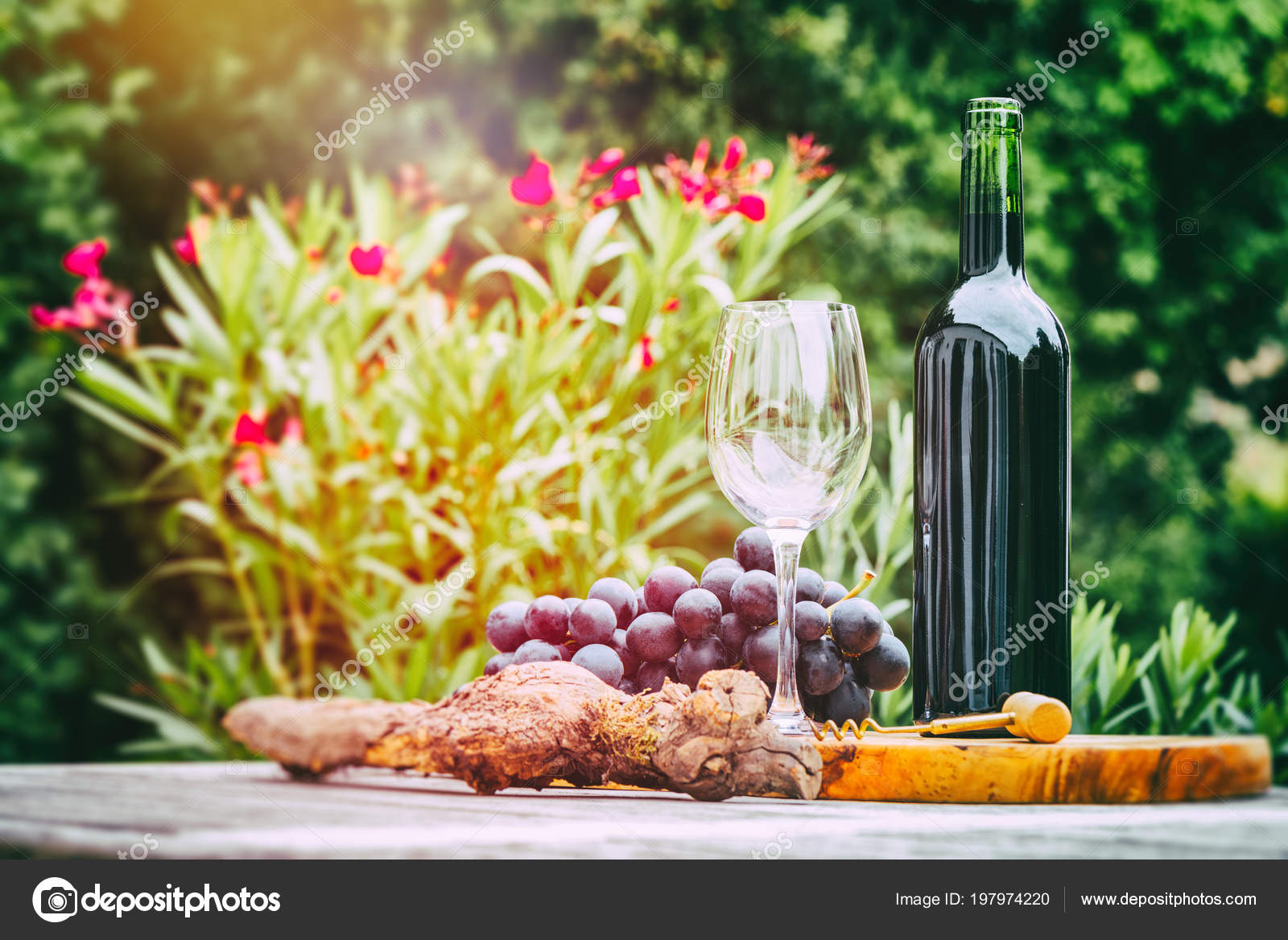 Абрикосовый джем этикетка. Wine fresh. Сладкие вина фреш. Wine fresh. White squirrel вино.