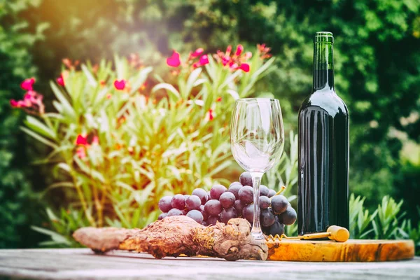 Bouteille Vin Rouge Avec Raisin Frais Dégustation Vins Concept Gastronomique — Photo