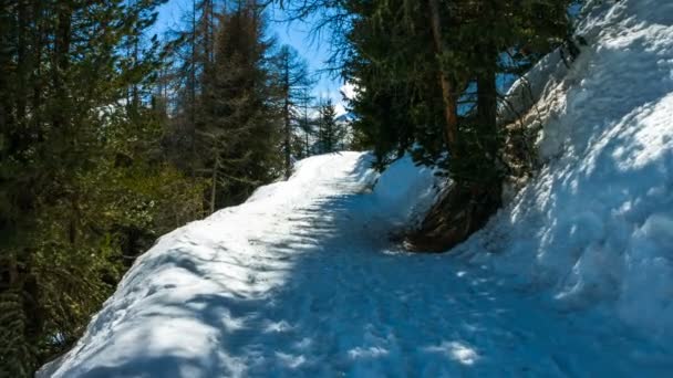 Magnifika Snöiga Skogen Och Toppar Val Anniviers Saint Luc Schweiz — Stockvideo