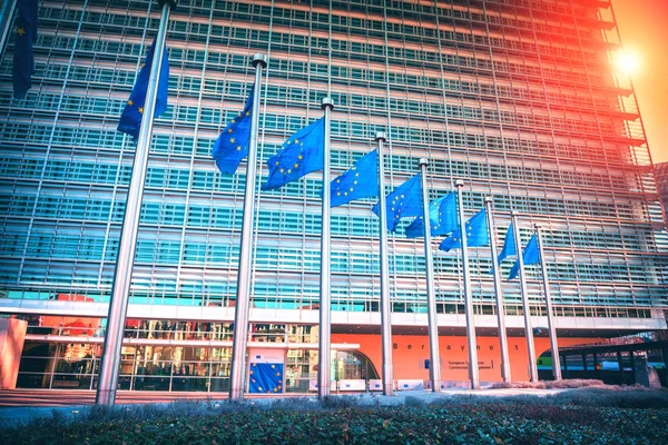 Bandeiras Acenando Frente Edifício Parlamento Europeu Bruxelas Bélgica Imagens De Bancos De Imagens