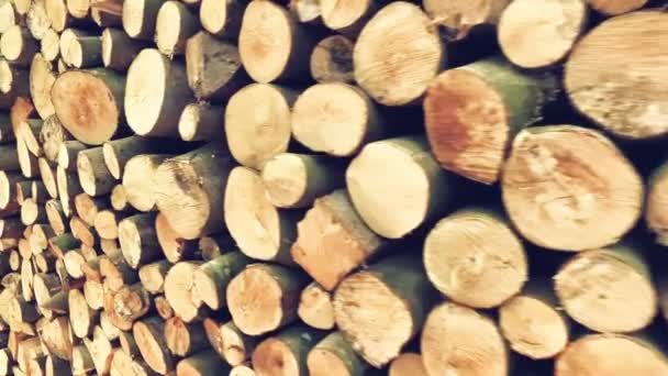 Blick Auf Den Holzstapel Bauernhof — Stockvideo