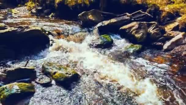 Cascada en el bosque de otoño — Vídeos de Stock