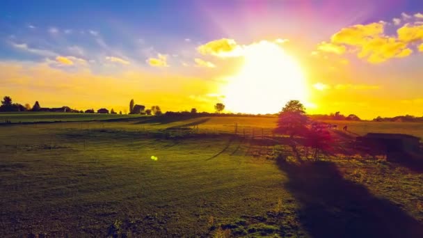 Krajobraz Powietrzny Zielonym Polem Przy Spektakularnym Zachodzie Słońca Tło Przyrodnicze — Wideo stockowe
