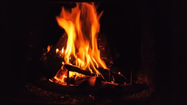 Scenic Footage Logs Burning Darkness — Stock Video