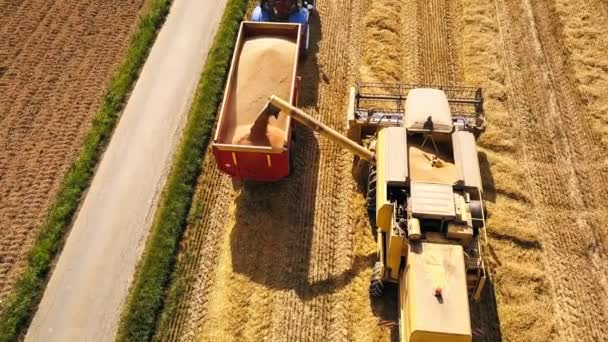 荷兰美丽农业场上工业机器的风景画面 — 图库视频影像