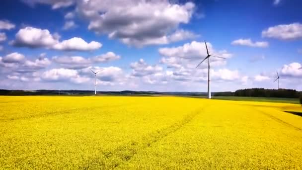 Scenic Footage Beautiful Flowery Field Wind Turbines Netherlands — Stock Video