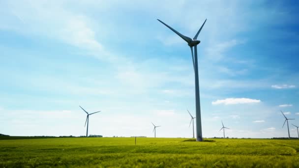带风力涡轮机的绿色田野景观 — 图库视频影像