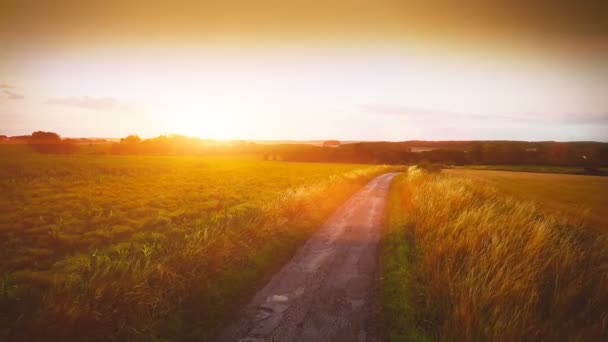 Luchtfoto Van Het Platteland Met Tarwe Velden Bij Zonsondergang — Stockvideo