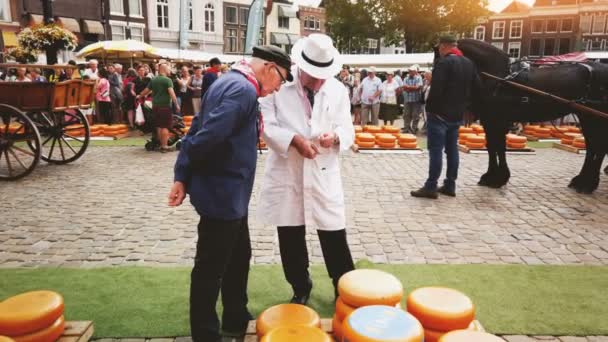 Гауда Нидерланды Августа 2019 Года Традиционный Сырный Рынок Экспертной Дегустацией — стоковое видео