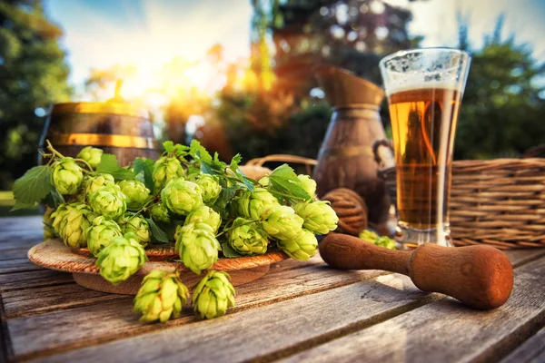 Świeże Zimne Piwo Rustykalnym Otoczeniu Świeżym Chmielem — Zdjęcie stockowe