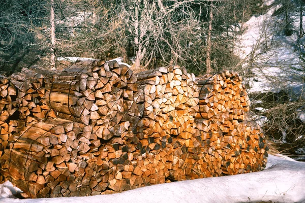 丸太小屋付き冬の森林景観 — ストック写真