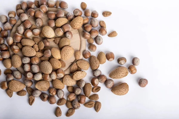 Kenari Kacang Almond Dan Hazelnut Kerang — Stok Foto
