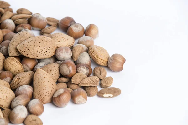 Kenari Kacang Almond Dan Hazelnut Kerang — Stok Foto