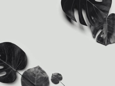 Tropik çiçekler üzerinde gri arka plan flatlay. 3D render.