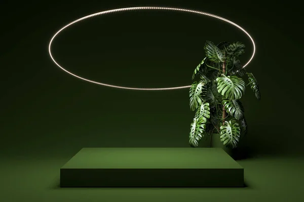 Grön Foursquare Abstrakt Showcase Nära Exotiska Växt Och Rund Belysande Element Ovanför Det På Grön Bakgrund. Uppfattat Space. Tomma rymden. 3D-konvertering — Stockfoto