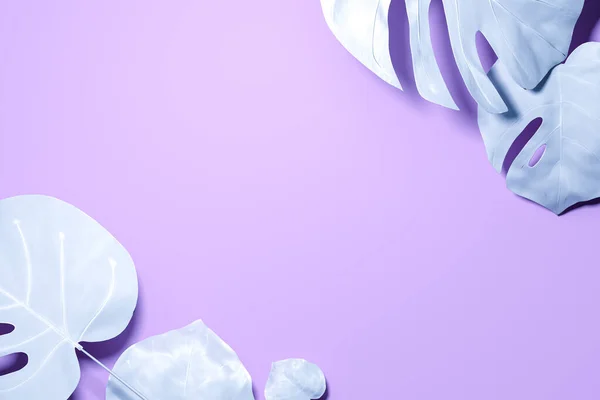 White Monstera Leaves on Violet Pastel Background, 3d render. — стокове фото