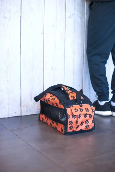 Cat in a carrying bag on the floor in an animal clinic