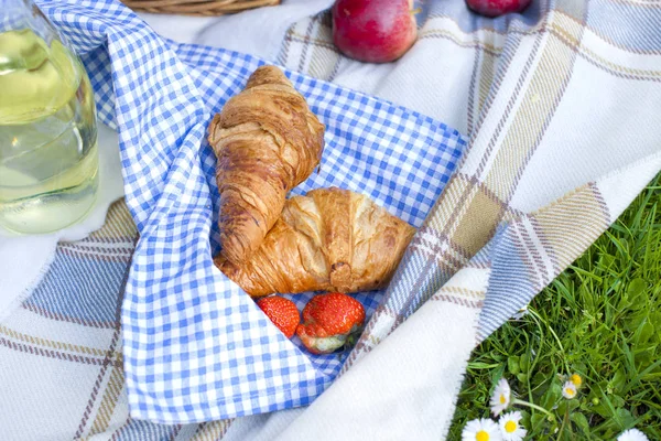 Picnic Lunch Meal Outdoors Park Food Concept, Closeup of picnic basket with drinks, food and flowers on the grass.Copy space