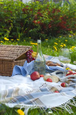 Parkta piknik. Yeşil çayır çiçek, bir ekose ve bir şişe şarap ile. Doğada romantik bir akşam yemeği. Metin için özgür yer. Bahar Hollanda. kopya alanı
