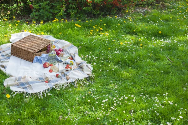 Picnic in the park. A green meadow with flowers, a plaid and a bottle of wine. Romantic dinner in nature. Spring in the Netherlands.Free space for text, copy space