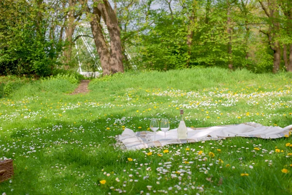 Picnic in the park. A green meadow with flowers, a plaid and a bottle of wine. Romantic dinner in the open air