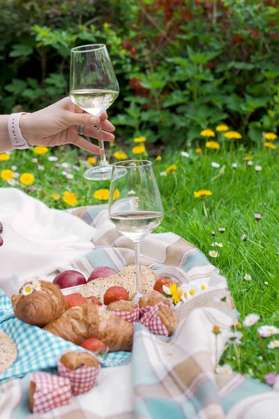 Ragazza al picnic, sull'erba verde nel parco. Buon fine settimana. Vino e frutta. Cena romantica. Primavera in Olanda. Posto per testo . — Foto Stock