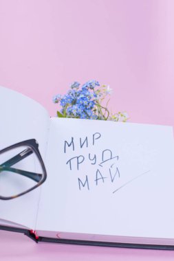 Mavi çiçekler ve kitap ve bir elma. Gözlük ve açık bir not defteri. Çalışma ortamı. Mayıs ayında tatil emek. Metin. Kopya alanı
