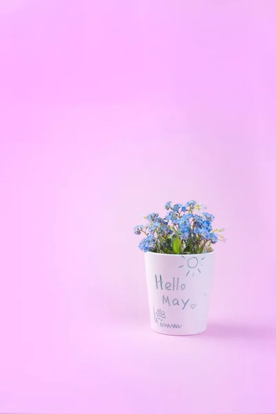 Μπλε ανοιξιάτικα λουλούδια σε ένα λευκό γυαλί. Ροζ φόντο. Θέση για το κείμενο. Κάρτα. Μπορεί διακοπές. Κάθετη φωτογραφία, αντίγραφο χώρου — Φωτογραφία Αρχείου