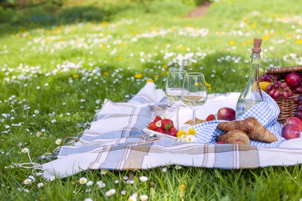 Dois copos e uma garrafa de vinho. Faça um piquenique na grama verde do parque. Bom fim de semana. Primavera . — Fotografia de Stock