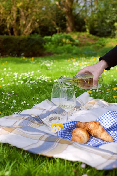 Due bicchieri di vino. Una mano d'uomo versa del vino. Picnic in una radura con fiori. Primavera in Olanda. Posto per il testo. vacanze . — Foto Stock