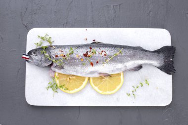 Çiğ balık. Alabalık limon ve beyaz bir taş gemide baharat. Gri arka plan. Metin için özgür yer. kopya alanı. düz lay.