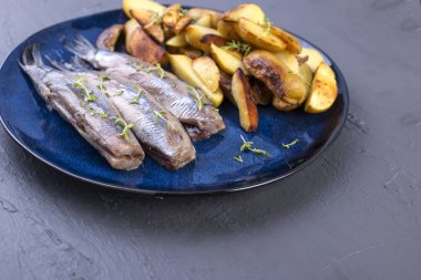 Fileto ringa bir plaka üzerinde ve fırında Fırın patates. Hollanda lezzetli geleneksel yemekleri. Hollandalı incelik. Kopya alanı, börek lay.