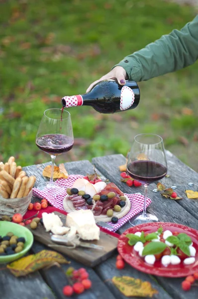 Vino rosso, formaggio e diversi snack durante un picnic nel parco. Copia spazio — Foto Stock