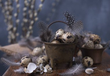 Bıldırcın yumurtası ve tüy. Willows dallarında. Bahar dekor ve yumurta. Fotoğraf karanlık tarzı