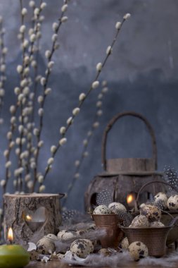 bıldırcın yumurtası ve küçük bir vintage kova tüyler bir sürü. Bahar dekor ve yumurta. Koyu arka plan ve metin için yer.