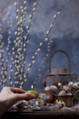 bıldırcın yumurtası ve küçük bir vintage kova tüyler bir sürü. Bahar dekor ve yumurta. Koyu arka plan ve metin için yer