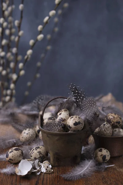 Bıldırcın yumurtası ve tüy. Willows dallarında. Bahar dekor ve yumurta. Fotoğraf karanlık tarzı