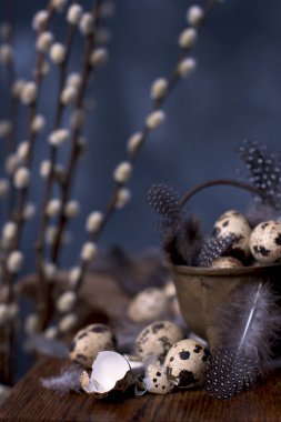 Bıldırcın yumurtası ve tüyler Vintage küçük kovalar. Söğüt ağacı dalı. Bahar dekor ve yumurta. Koyu arka plan ve metin için yer. Kopyalama alanı