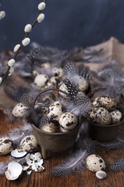 Bıldırcın yumurtası ve tüyler Vintage küçük kovalar. Söğüt ağacı dalı. Bahar dekor ve yumurta. Koyu arka plan ve metin için yer. Kopyalama alanı