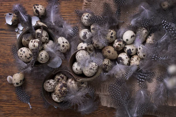 birçok aynı bıldırcın yumurtası. tavuk tüyleri. Fotoğraf bir rustik tarzda. Yumurta Paskalya için. Metin için boş alan.