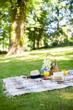 Parkta piknik güneşli günün kutlu olsun. Çiçek, meyve, içecekler, şapka, bir sepet ve bir battaniye. Kopya alanı