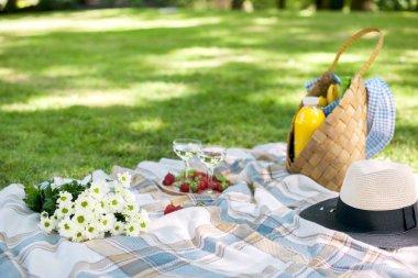 Bir gün güneşli yaz yeşil çim parkta piknik. Çiçekler, sepet, şarap gözlük ve bir battaniye. Kopya alanı.
