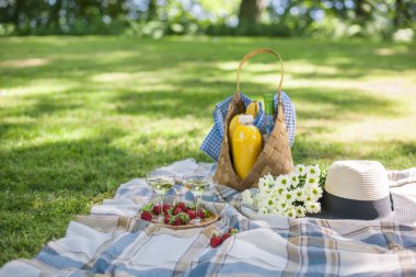 Parkta piknik güneşli günün kutlu olsun. Çiçek, meyve, içecekler, bir sepet ve bir battaniye. Kopya alanı.