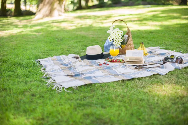 Feliz dia de sol num piquenique no parque. Flores, frutas, bebidas, um chapéu, uma cesta e um cobertor. Espaço de cópia — Fotografia de Stock