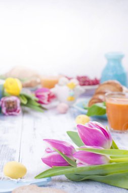 Paskalya kahvaltı croissants ve kahve, doğal suyu. Taze bahar tuips pembe renk. Beyaz ahşap masa. Metin için boş alan.