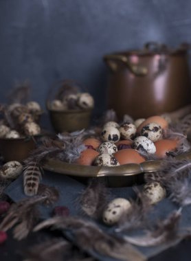 Vintage Fotoğraf, tavuk ve Bıldırcın yumurta ve tüyler. Paskalya. Fotoğraf bir rustik tarzda. Kopya alanı