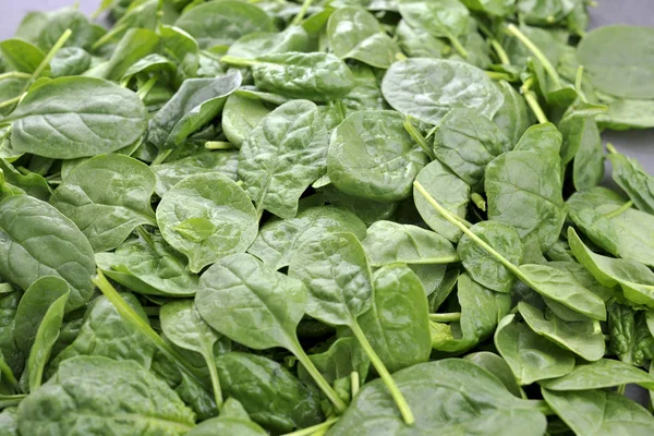 Fundo de folhas verdes de espinafre fresco. Vitaminas e saúde em alimentos. Lugar para SMS. Espaço de cópia — Fotografia de Stock